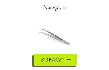 Wielkie powroty! Sprawdź jakie elementy zostały uzupełnione!