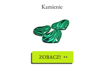 Wielkie powroty! Sprawdź jakie elementy zostały uzupełnione!
