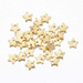 Zawieszka Stal Chirurgiczna złota 6mm