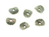 9x8 mm
