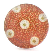 SUTASZ KABOSZON SZKŁO Z NADRUKIEM ORANGE 16X4MM